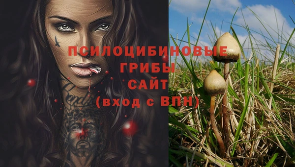 a pvp Козельск