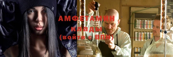шишки Кодинск