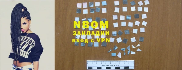 молекула духа Козловка