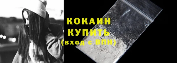 шишки Кодинск