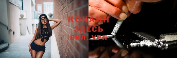 молекула духа Козловка