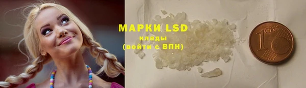 шишки Кодинск