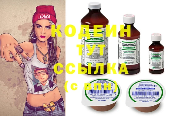 шишки Кодинск