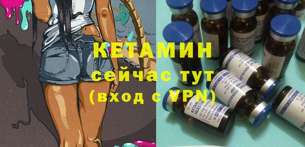 шишки Кодинск