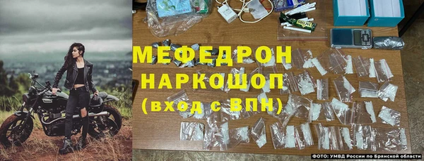 шишки Кодинск