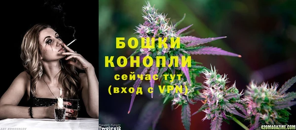шишки Кодинск