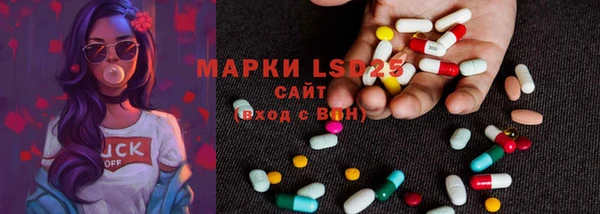 молекула духа Козловка