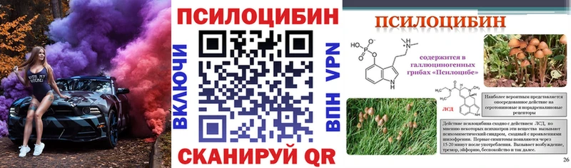 Галлюциногенные грибы ЛСД  даркнет сайт  Лабинск 