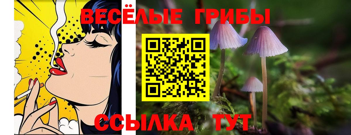 Галлюциногенные грибы Cubensis Лабинск