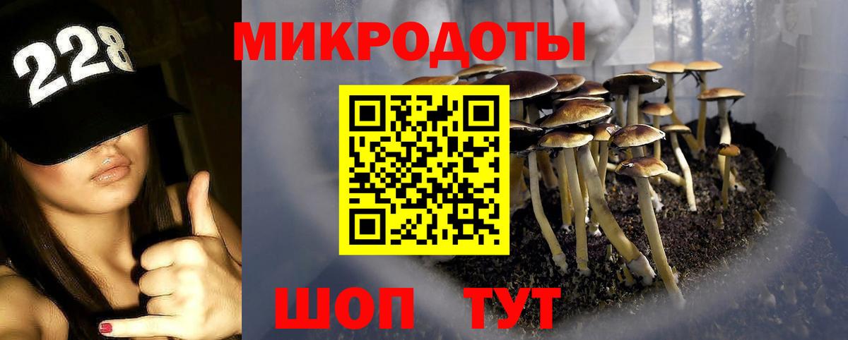 Псилоцибиновые грибы мицелий  Галлюциногенные грибы MAGIC MUSHROOMS  Лабинск  Вход с VPN 