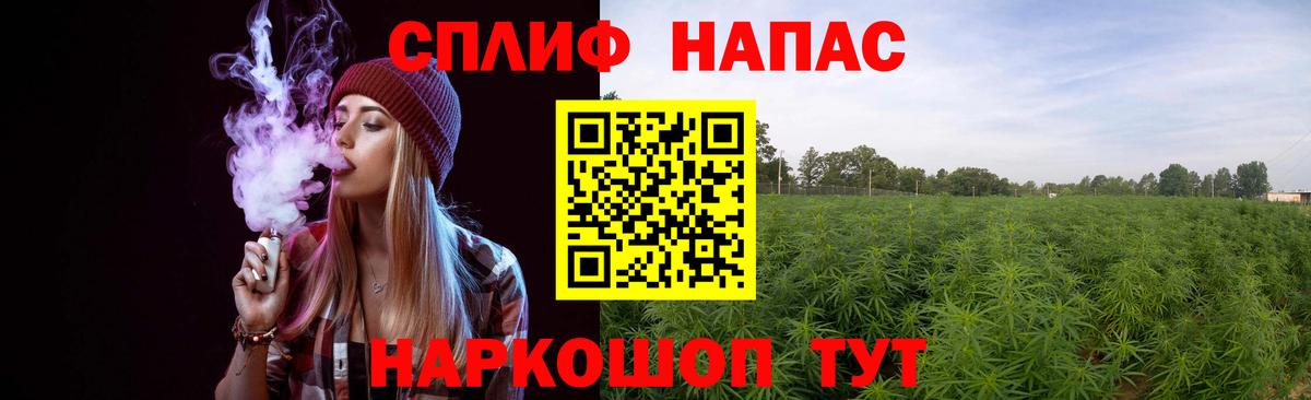 Шишки марихуана планчик Лабинск
